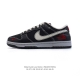 310 【公司级】耐克 Nike Dunk Low Retro 运动鞋复古板鞋 北面北脸联名。 作为 80 年代经典篮球鞋款，起初专为硬木球场打造，后来成为席卷